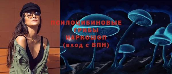 индика Аркадак