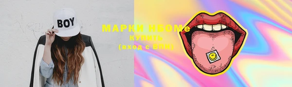 индика Аркадак