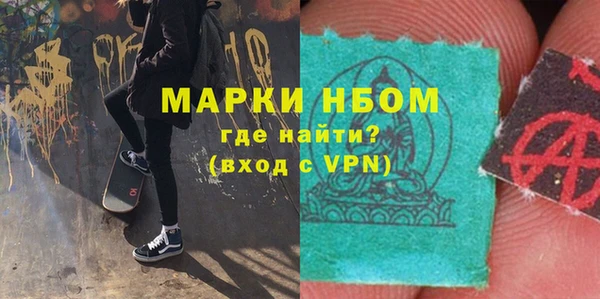 индика Аркадак