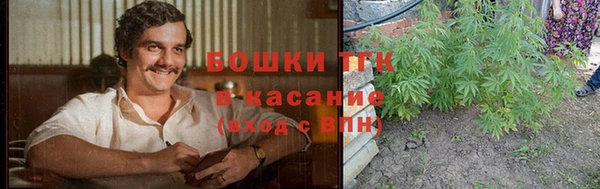 индика Аркадак