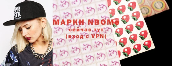индика Аркадак