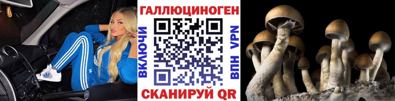 Псилоцибиновые грибы Psilocybine cubensis  Фокино 